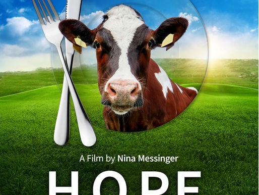 H.O.P.E What You Eat Matters indie film review