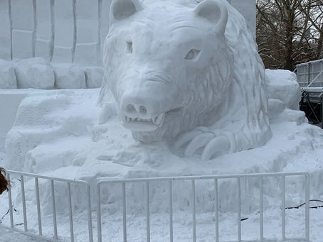 Our Journey to Sapporo and Otaru