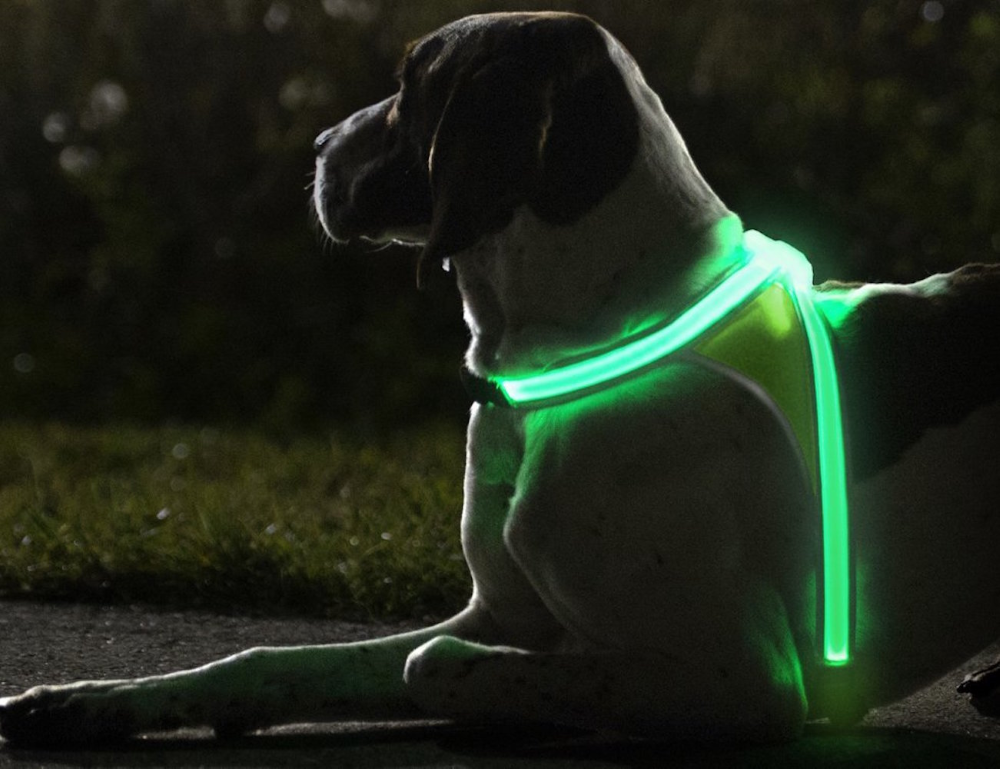 lighthound dog vest