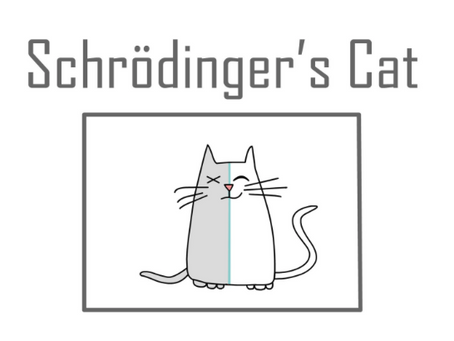 Life as a Schrödinger's cat experiment