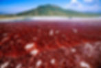 Le Lac Natron en Tanzanie rouge