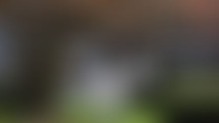 Estados Unidos batem recorde e têm mais de 2 mil mortes por coronavírus em 24 horas.