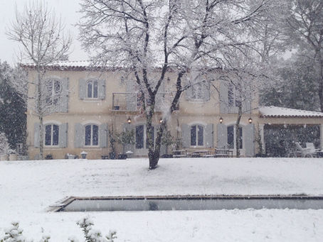 Il fait un froid de canard!