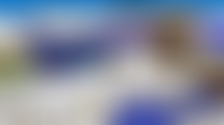 January 2020 Party Announcement!