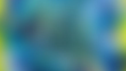 Reflection – By inertia