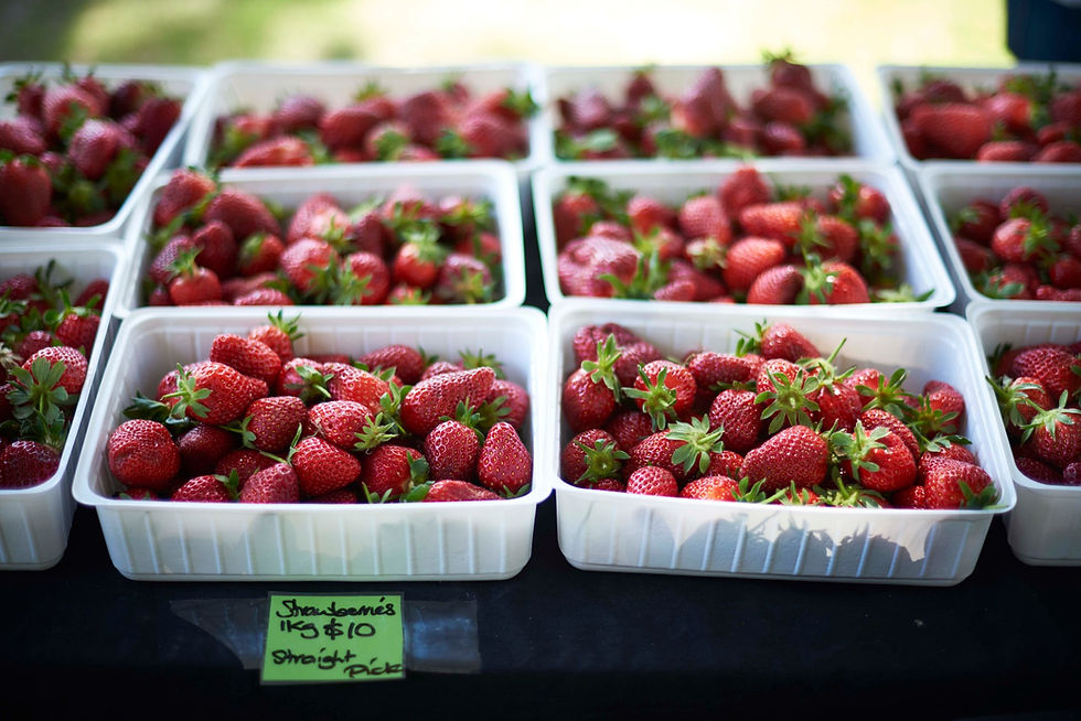 紐西蘭的農貿市場