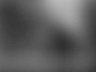 The Unexplained Powers Of Animals