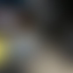 Post Receiving Seismometers 