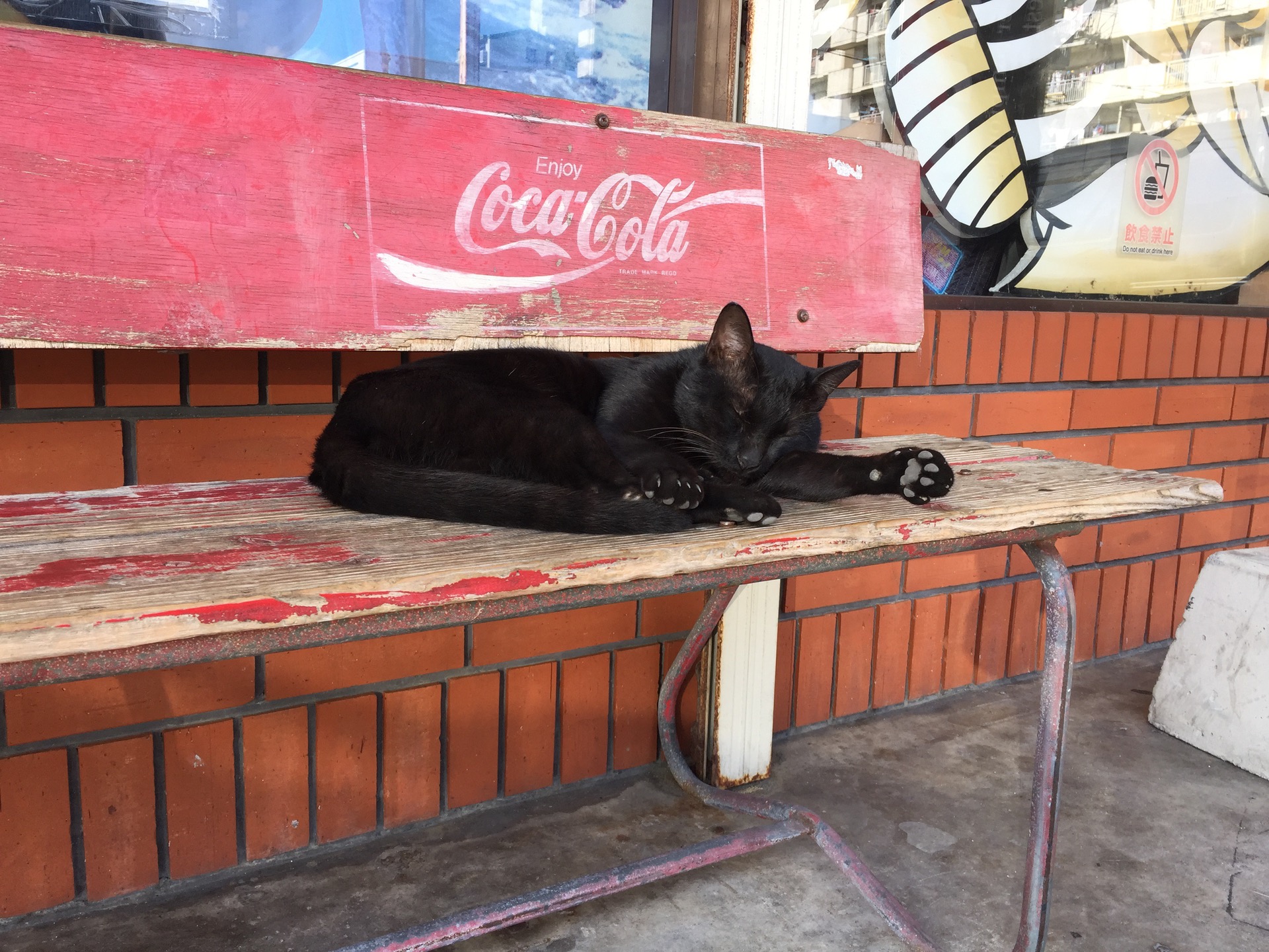 猫がいました content media