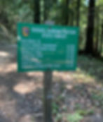 Soquel Demonstration State Forest