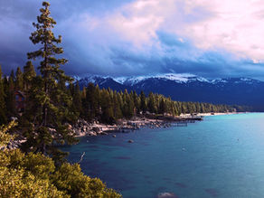 危机之下，何以心安 之疫情篇