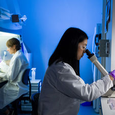 Introduction to Cell Culture