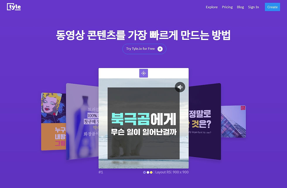 카드뉴스 동영상 제작 서비스 플랫폼 타일 tyle