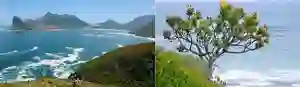 Le Cap de la Bonne Espérance vue sur la mer