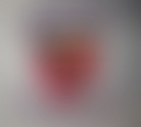 Chew Magna Cricket Club - The continuation of cricket at Chew Court