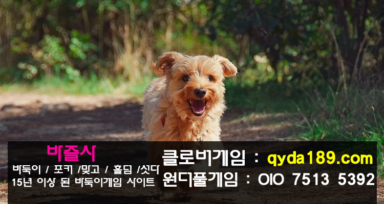바즐사에서는 특별심의주소! LVIP용 바둑이게임 주소만 안내해드립니다. content media