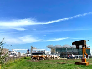 The world's first floating dairy farm is in Rotterdam