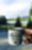 blogposttemplate.png