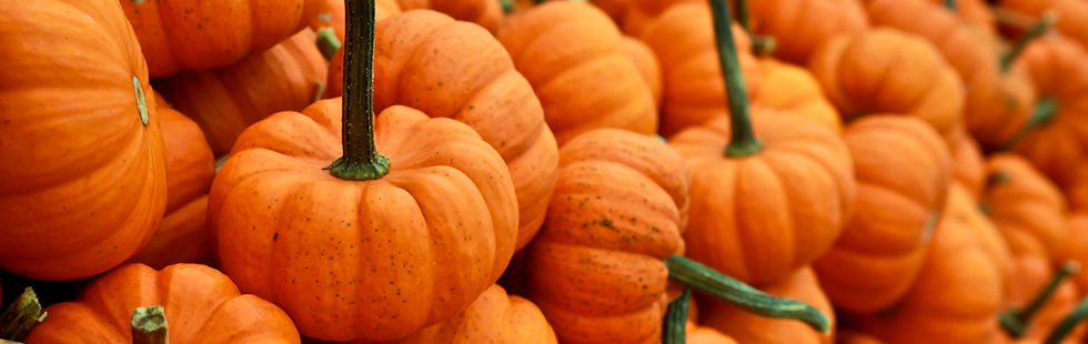 Image of pumpkins