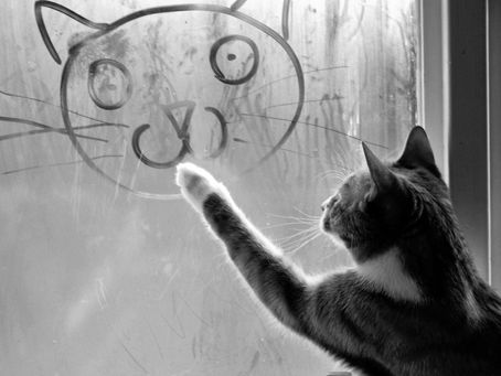 3 Surprising Ways To Unlock Your Creativity