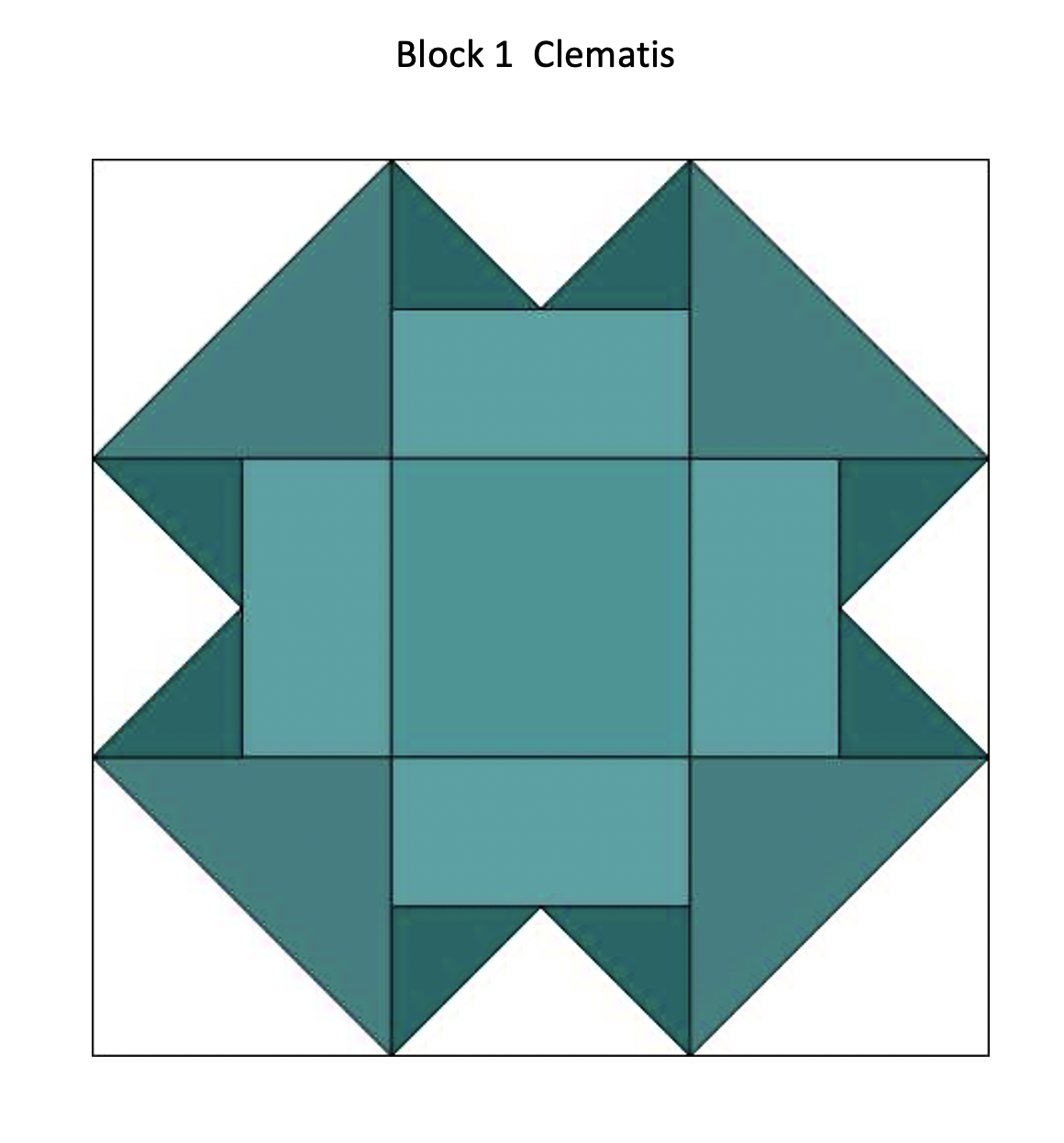QGI 2021 Block of the Month - Block 1 content media