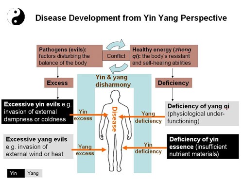 PATHOLOGIE DU DÉSÉQUILIBRE ENTRE LE YIN ET LE YANG content media