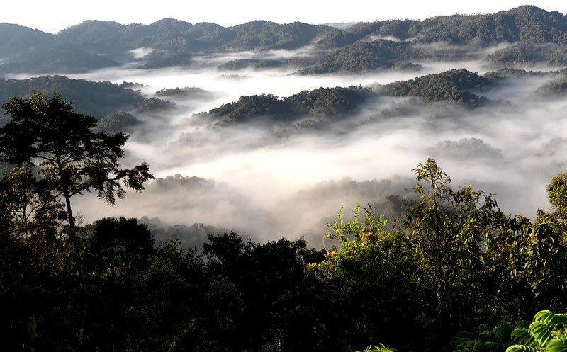 Undulating Hilly And Mountainous Terrain In Rwanda.