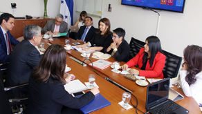 RELATOR DE LA CIDH DE VISITA EN HONDURAS.