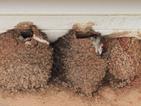 Strength in Numbers: 2500 Trips to the River