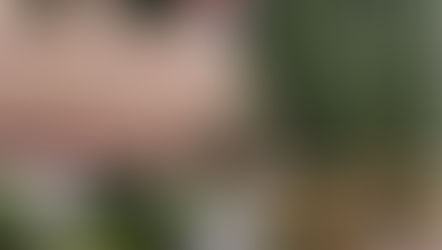 किसे मिलने जा रहा है विकास दुबे की मुखबिरी का 5 लाख रुपया ?