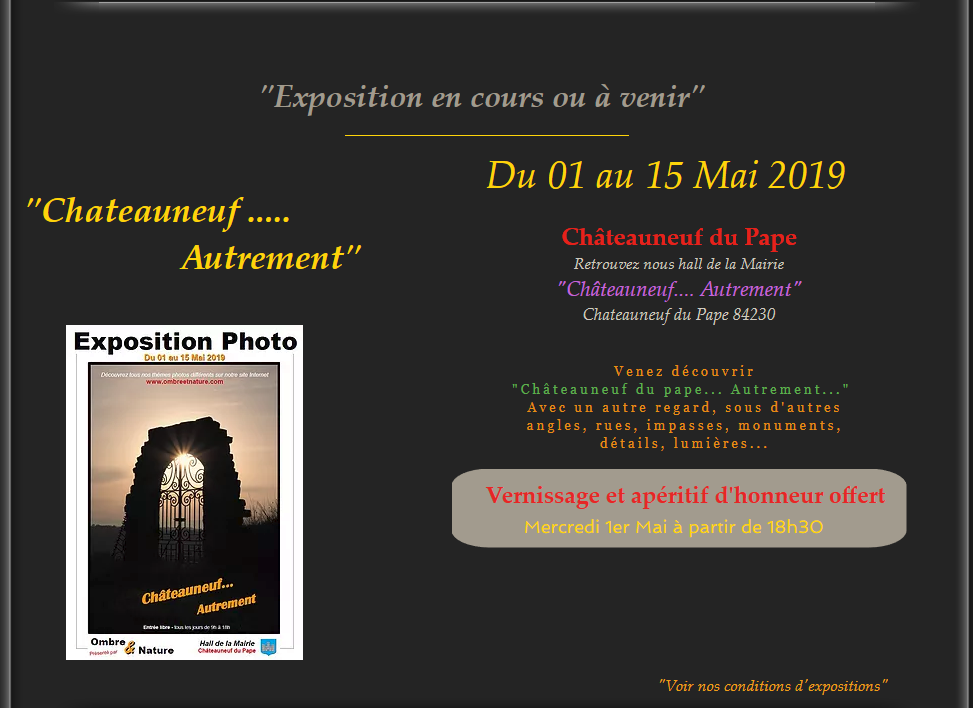 Expo "Châteauneuf... Autrement" content media
