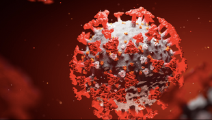 5 Martinsville children, 13 others test positive for the coronavirus