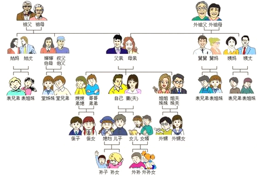 周六识字课互动内容 2022年2月19日 content media