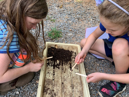 Sustainablity: Who is doing the work? Turning organic matter into a resource