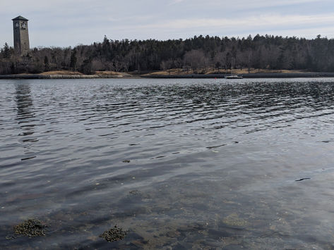 Blessed Are Those Who Mourn