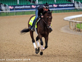 Omaha Beach Brings Grit and Game to the Kentucky Derby