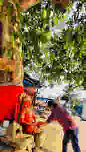 महानायक आज़ाद हर की पौड़ी हरिद्वार में