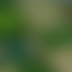 Rabovanie pokladnice Michalovskej samosprávy