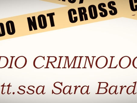 Il Criminal Profiler