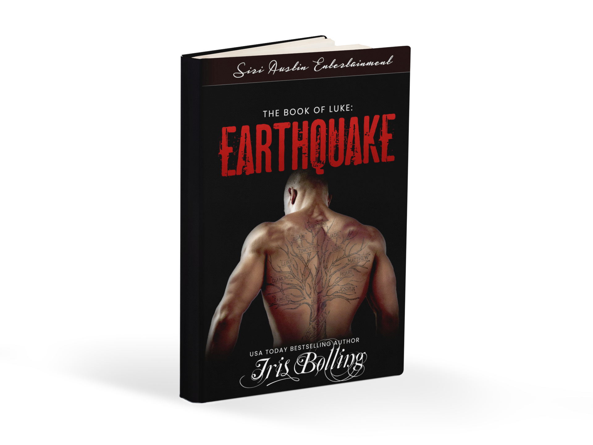 The Book of Luke: Earthquake (The Gems & Gents Series) content media