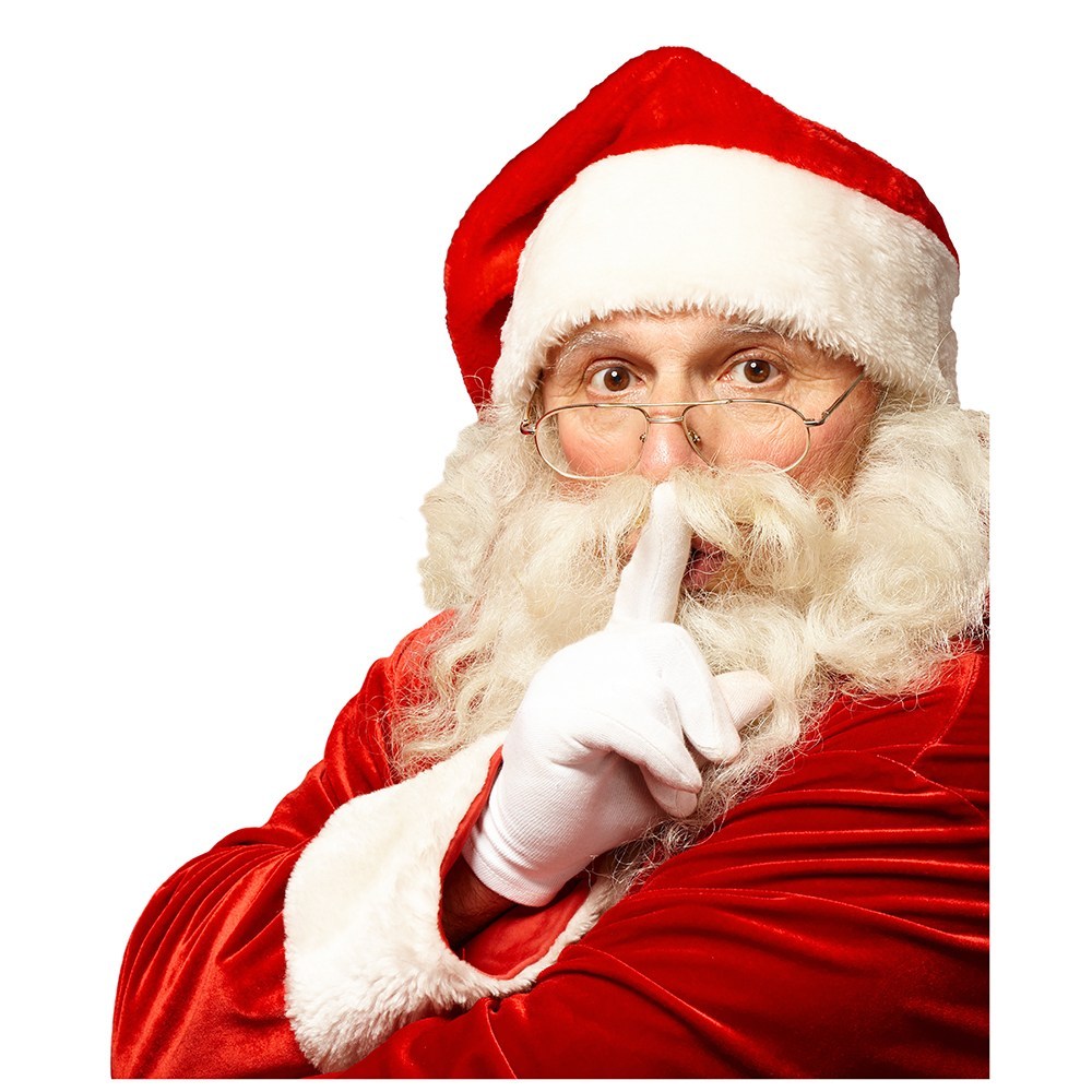 Merry Chistmas Catie! content media