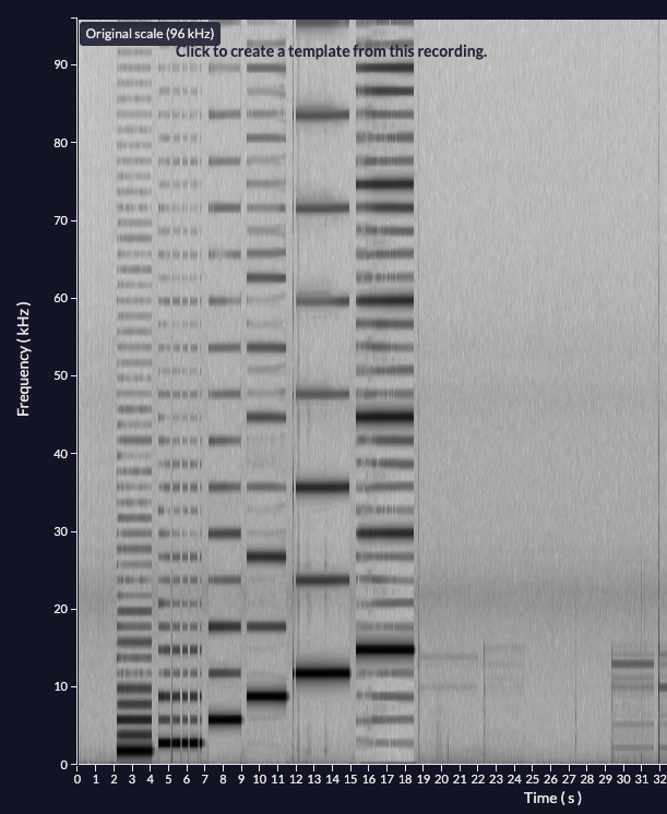 Frequencies >16kHz not depicted in spectrogram content media
