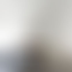 THE LAW OF PAST EXPERIENCE