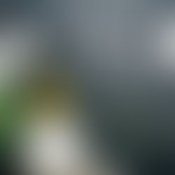 【飲食】營養師解說生酮飲食法