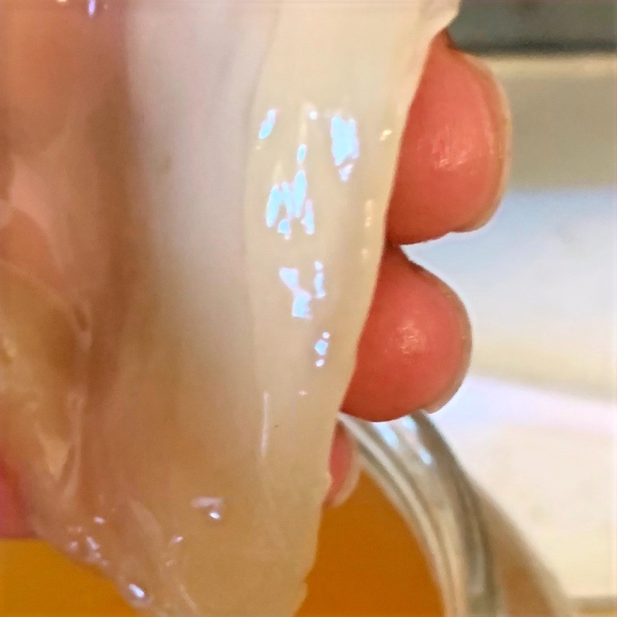 Scoby