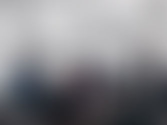 Forza maggiore (2014)