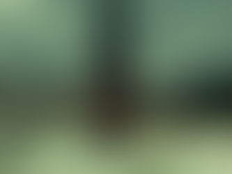 State of the Broom Address (March 2020)