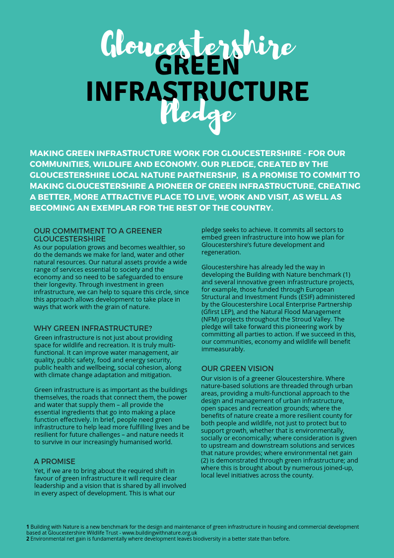 Green Infrastructure Pledge content media