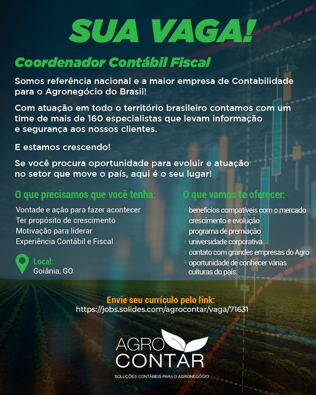 Coordenador Contábil Fiscal- AGROCONTAR content media