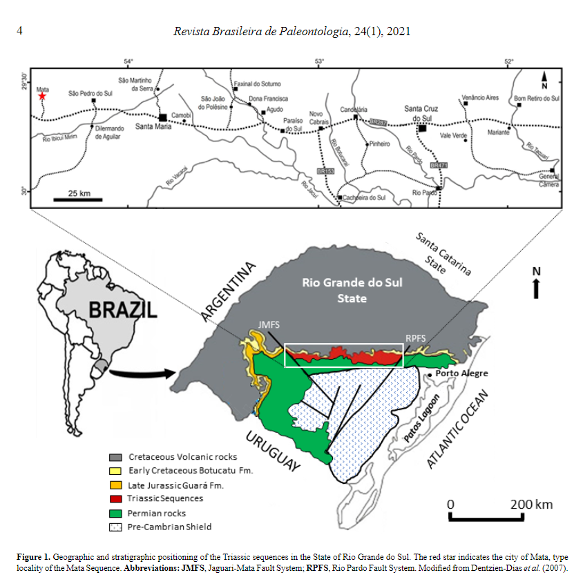 INTERRUPÇOES DO CRESCIMENTO DE MADEIRAS DO TRIÁSSICO SUPERIOR ASSOCIADAS A MUDANÇAS CLIMÁTICAS content media